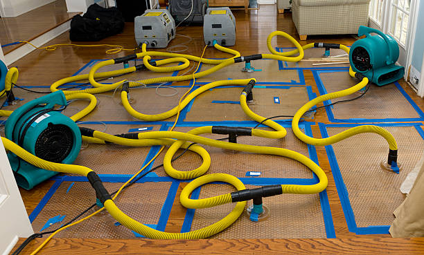 Professional Basement Flood Cleanup technician working in Villa Park, IL